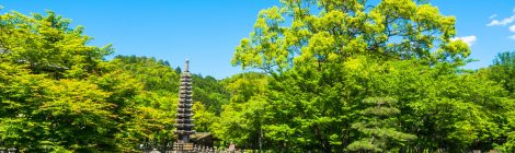 Adashi-no-Nenbutsu Temple