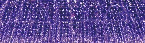 Ashikaga Flower Park