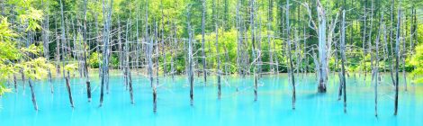 Blue pond