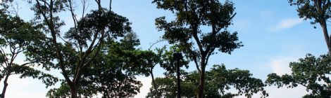 East Coast Park & Beach in Singapore