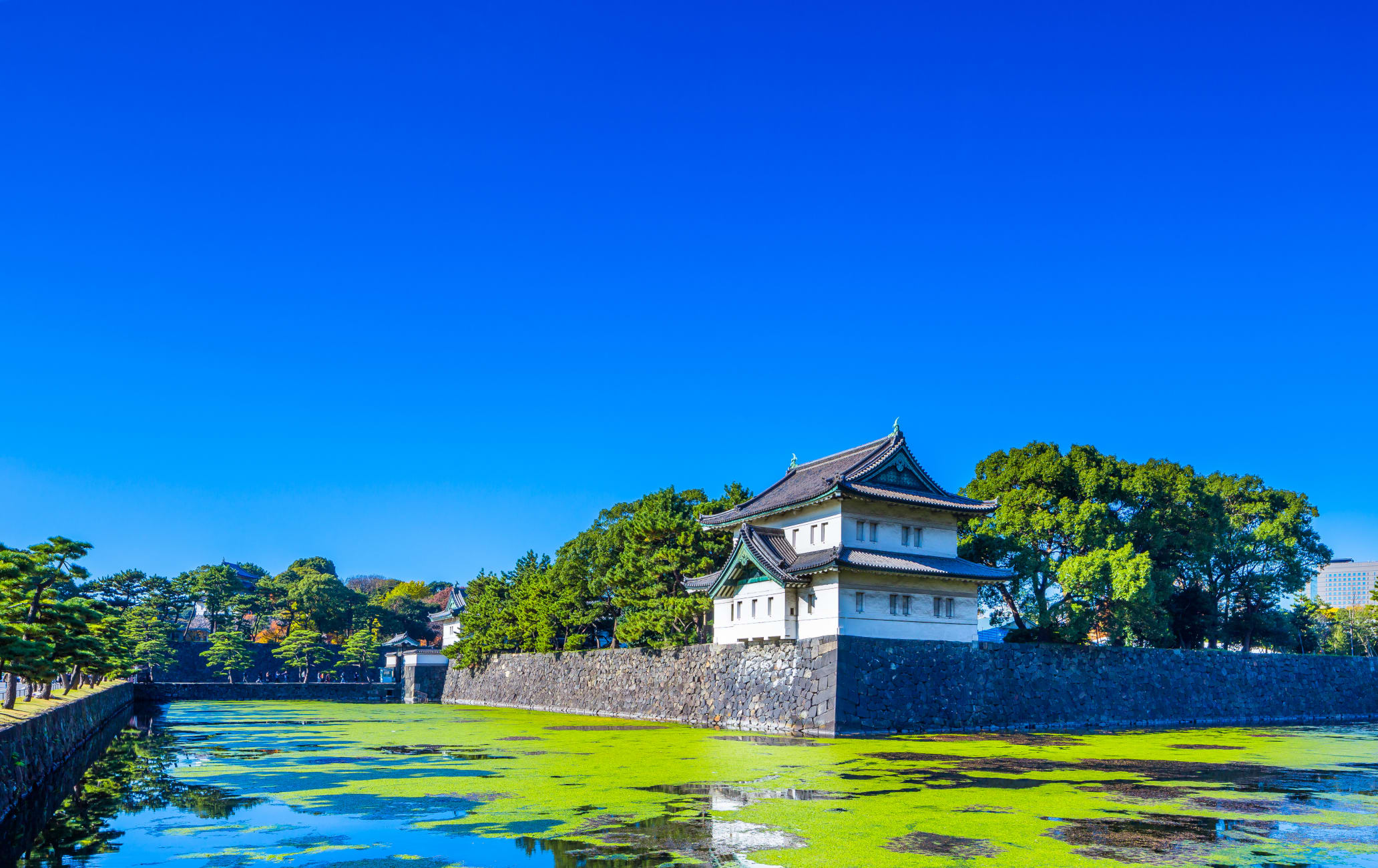 Edo Castle - idbackpacker.com