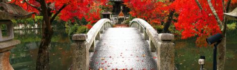 central kyoto