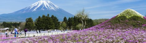 fuji five lakes