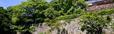 Fukuoka Castle-Maizuru Park
