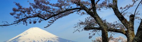 mt. fuji area