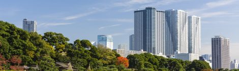 hama-rikyu onshi teien garden
