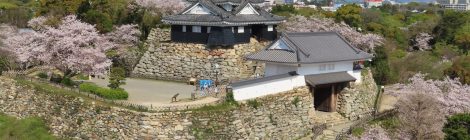 Hamamatsu Castle