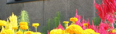 HortPark