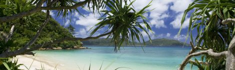 Iriomote Island