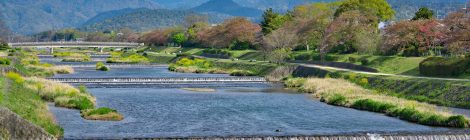 Kamo River