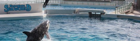 Kamogawa Seaworld