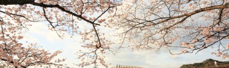 around kintai bridge