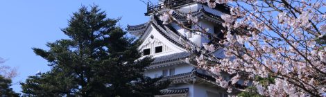 kochi castle