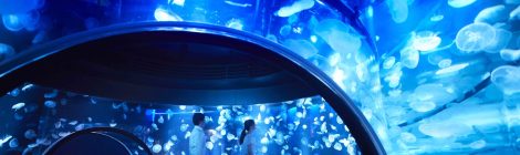Kyoto Aquarium