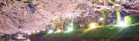 Cherry blossom of Matsukawa Beri riverside-SPR