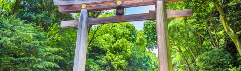 Meiji-jingu Shrine