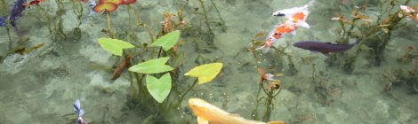 Namonaki Ike aka Monet Pond