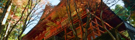 Mt. Hiei Enryakuji Temple