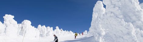 Mt. Zao Skiing