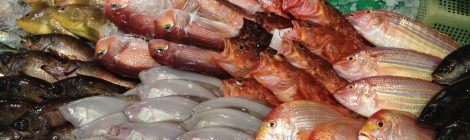 Nagahama Fish Market