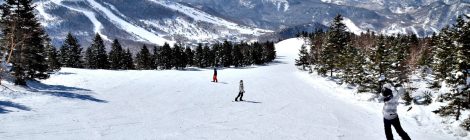 shiga-kogen highlands area