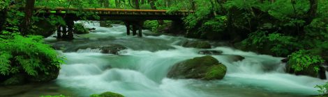 Oirase Mountain Stream