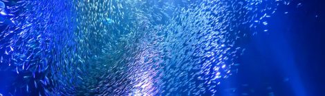 Port of Nagoya Public Aquarium