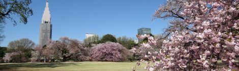 H_00640_IMG_2656