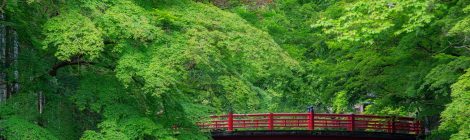 Shuzen-ji Area