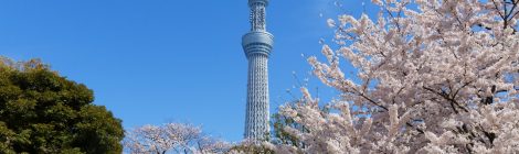 Sumida Park