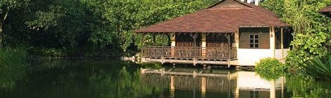 Sungei Buloh Wetland Reserve