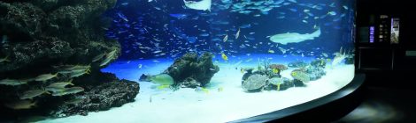 Sunshine Aquarium