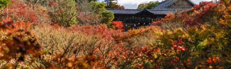 Tofukuji Temple