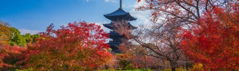 around kyoto station