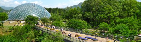 Tottori Hanakairo Flower Park