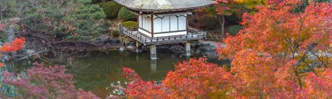 Wakayama Castle