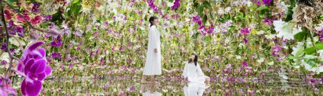 teamLab Planets TOKYO