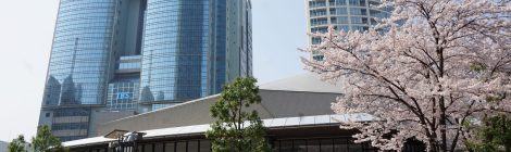 Akasaka Sacas