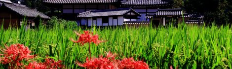 Asuka-dera Temple
