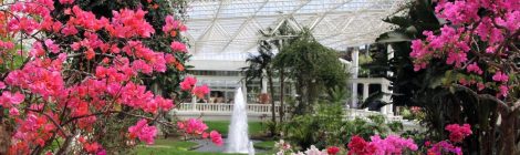Flower Park Kagoshima
