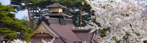 Goryokaku Park - Cherry blossom-SPR