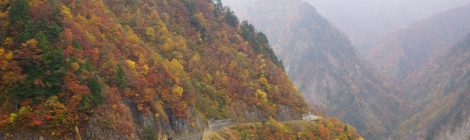 Hakusan Shirakawa-go White Road