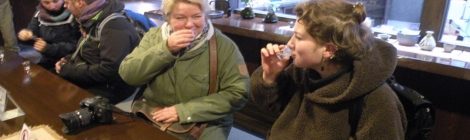Hida Takayama Sake Breweries