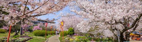 hiokayama park