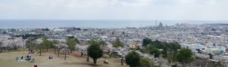 oarai & hitachinaka