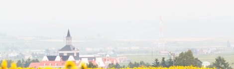 Hokuryu of sunflower village-SUM
