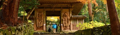 Fall Foliage of Hyakusai-ji