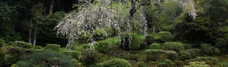 Iko-ji Teien Garden