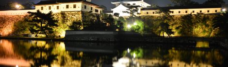 Imabari Castle