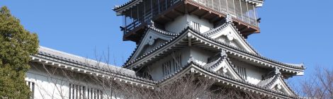 Iwasaki Castle
